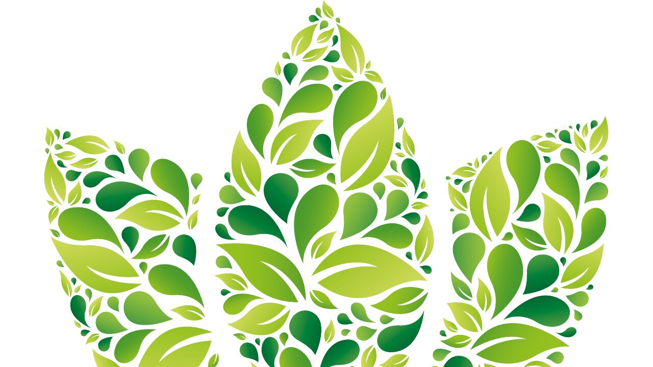 Health_InclusionMatters