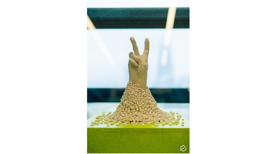 Merrie Carlton - Not Waving