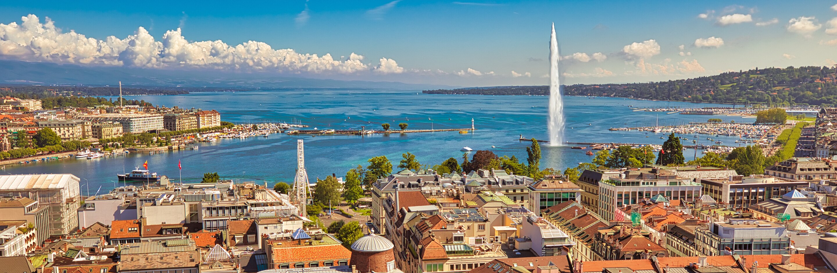 Anpassung an Veränderungen. Zusammen.