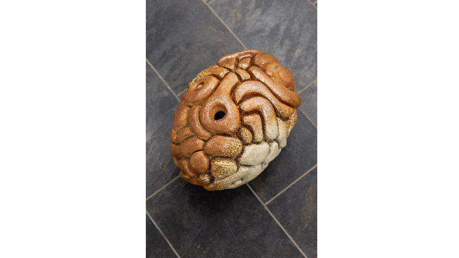 Intellectually intertwined